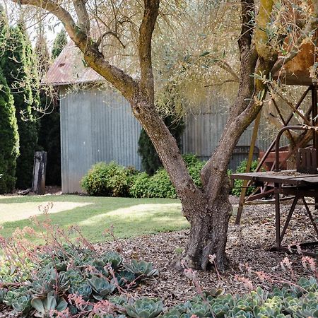Walnut Tree Cottages Whorouly Dış mekan fotoğraf