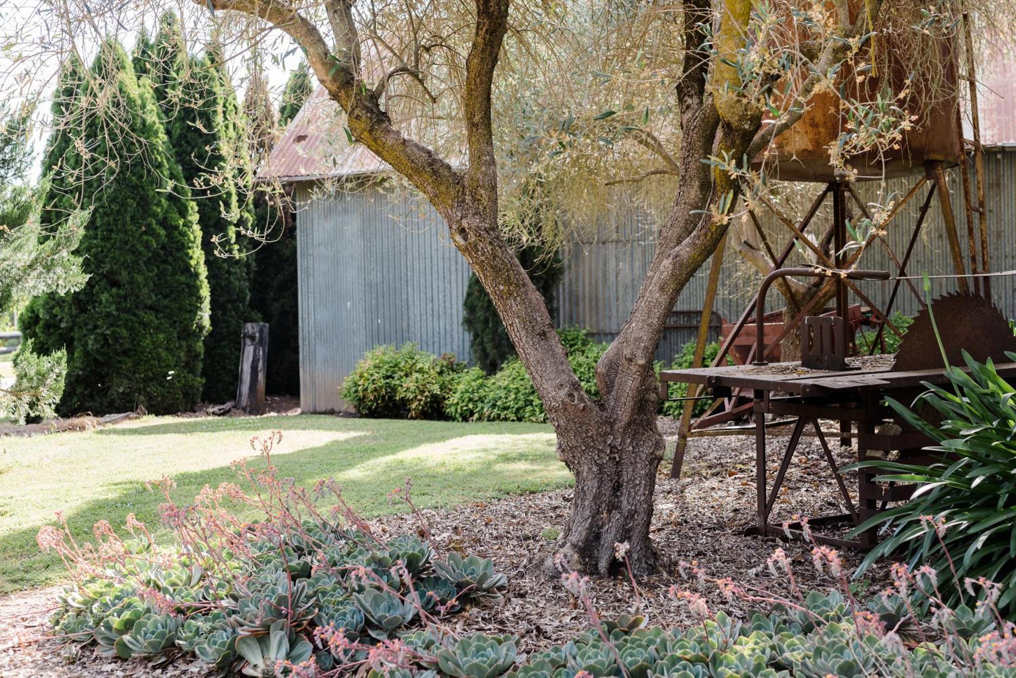 Walnut Tree Cottages Whorouly Dış mekan fotoğraf