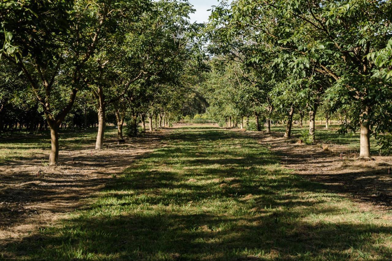 Walnut Tree Cottages Whorouly Dış mekan fotoğraf